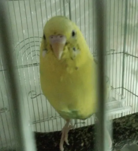 村地隆幸